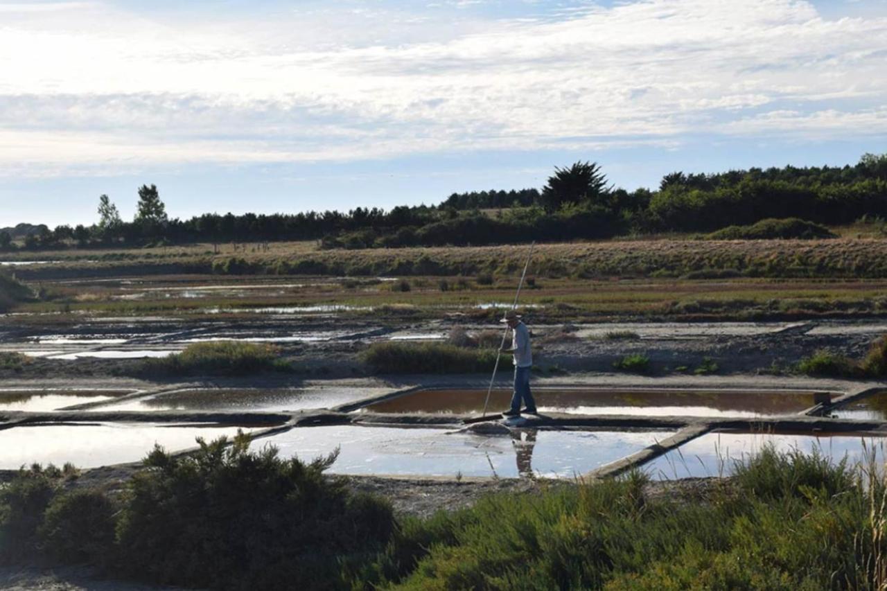 Spacious Nest With Terrace Near The Beach Saint-Hilaire-de-Talmont Eksteriør bilde